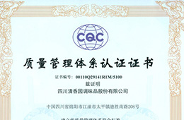 IOS 体系认证证书